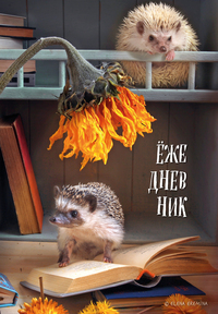 Ёжедневник. Блокнот для людей и ежей (книги) (А5, 72 л.), Нет автора обложка-превью